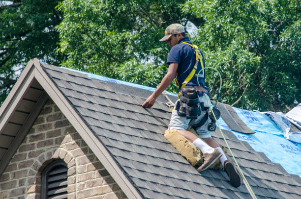 Best Storm Damage Roof Repair  in Tashua, CT